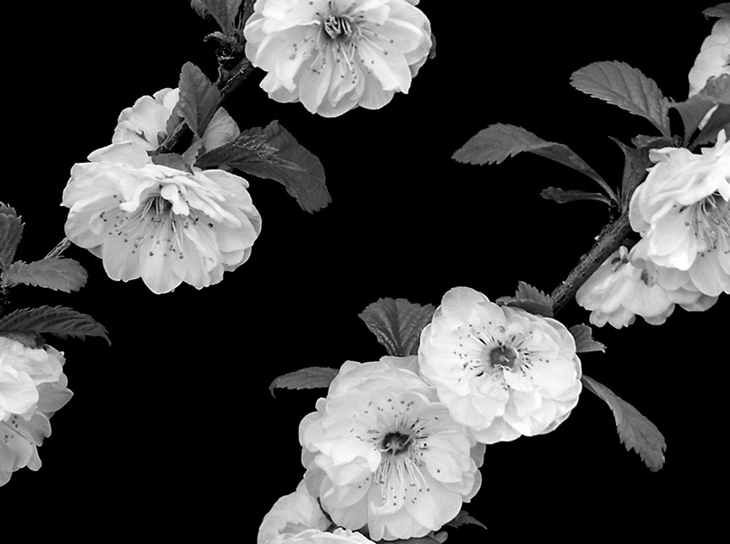 Sivun Valokuvataide pääkuva